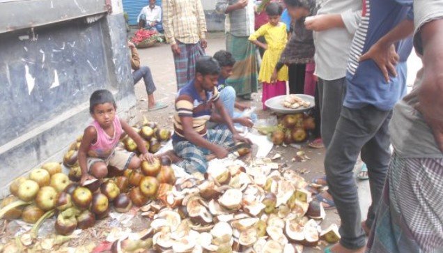 গাইবান্ধার বাদিয়াখালীতে তাল বিক্রির হিড়িক